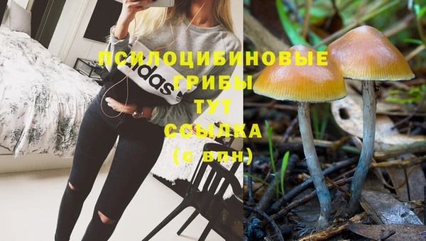 наркотики Алексеевка