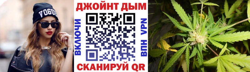 Канабис план  Заполярный 